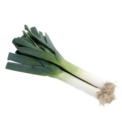 Fresh leeks